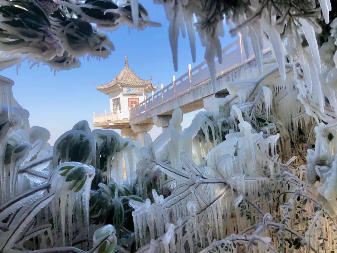 我的老师是偶像